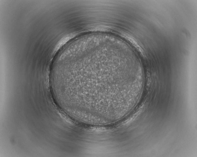 X0000115370978200911171411