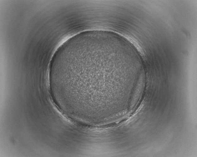 X0000115370982200911171411