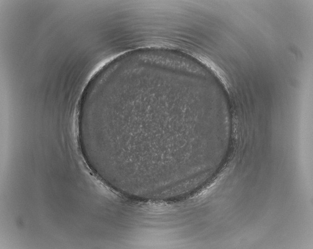 X0000115370983200911171411