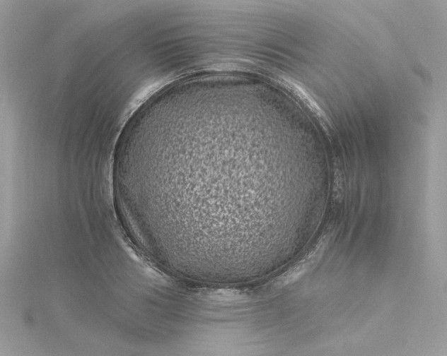 X0000115370986200911171411