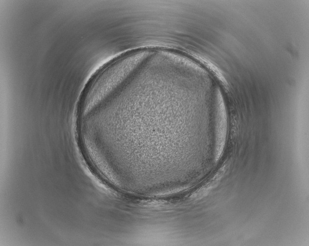 X0000115370991200911171411