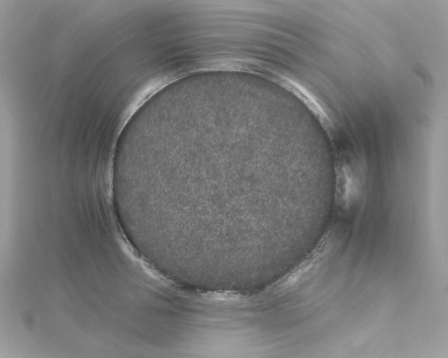 X0000115370994200911171410