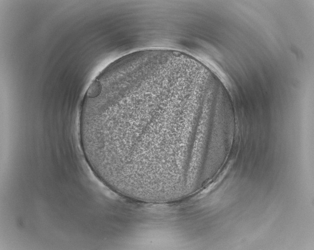 X0000115371006200911171410