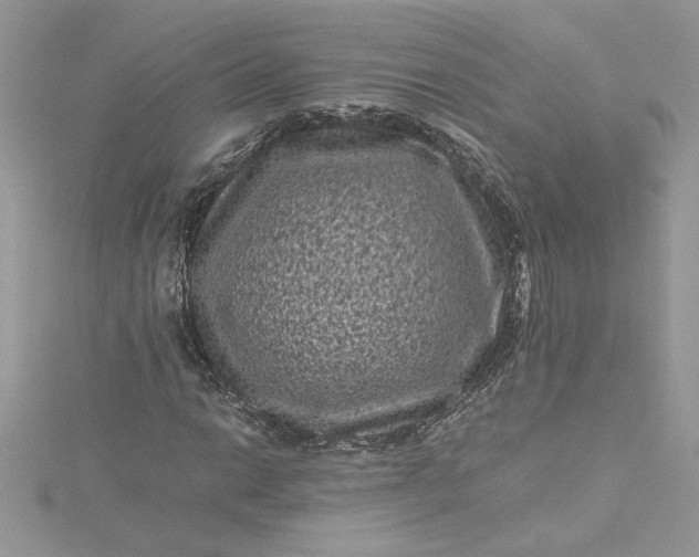 X0000115371014200911171410