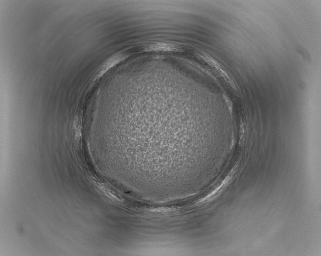 X0000115371017200911171410
