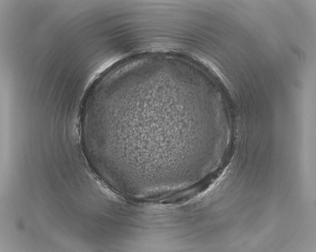 X0000115371018200911171410