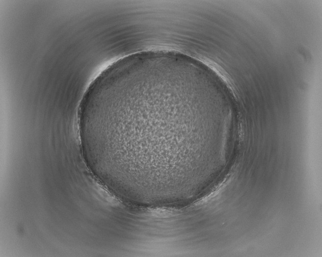 X0000115371022200911171410