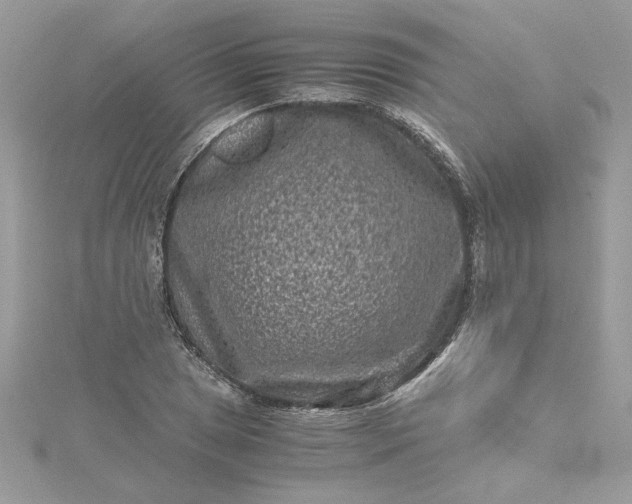 X0000115371025200911171410