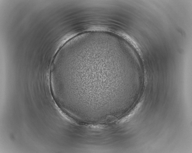 X0000115371041200911171410