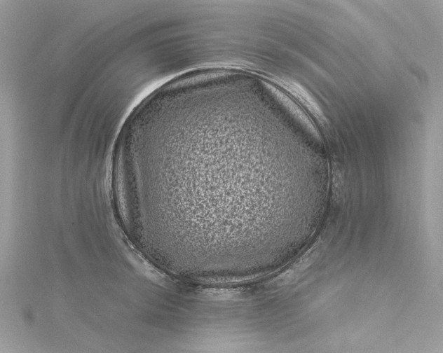 X0000115371044200911171410
