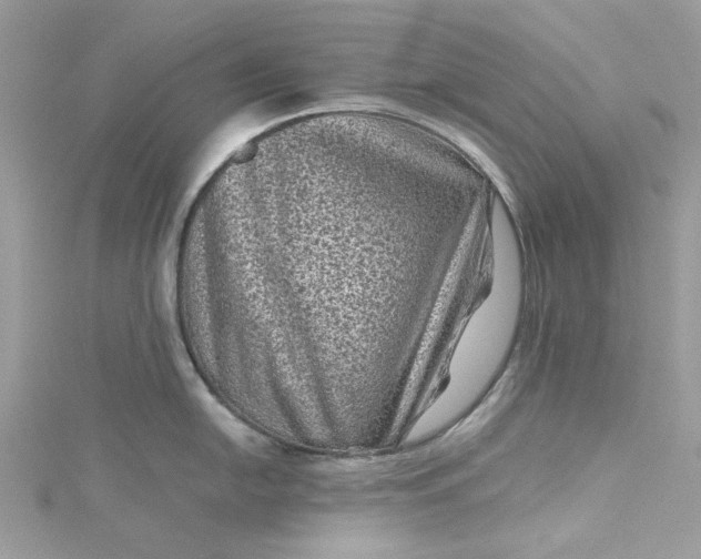 X0000115371054200911171410
