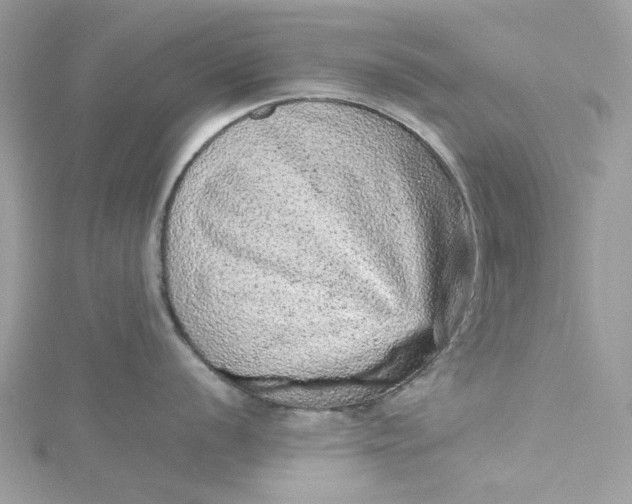 X0000115371056200911171410