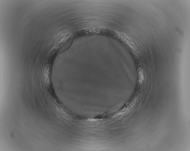 X0000115371060200911171409
