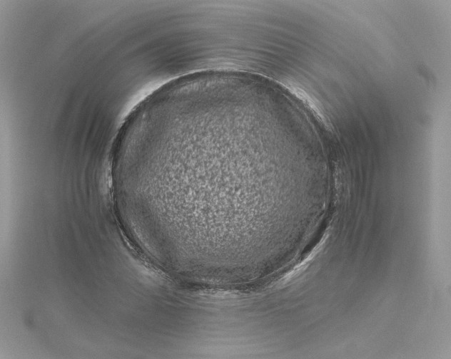 X0000115371070200911171409