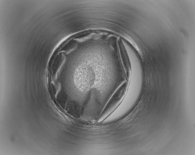 X0000115371076200911171409