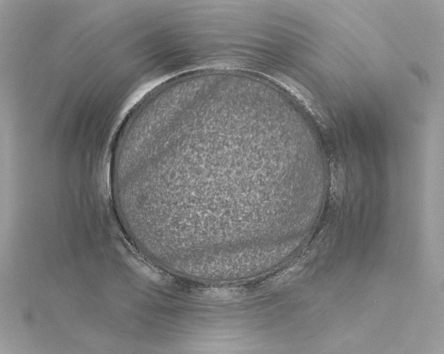 X0000115371078200911171409