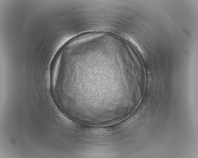 X0000115371079200911171409