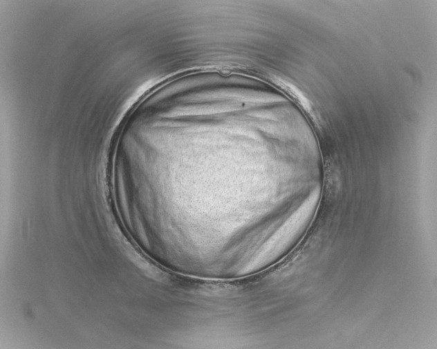 X0000115371091200911171409