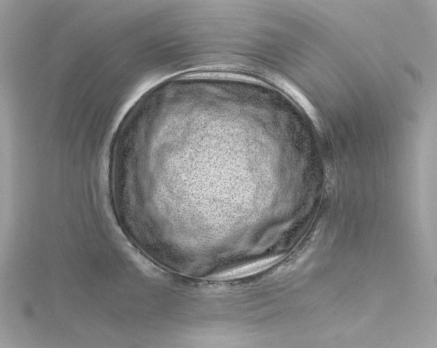 X0000115371099200911171409
