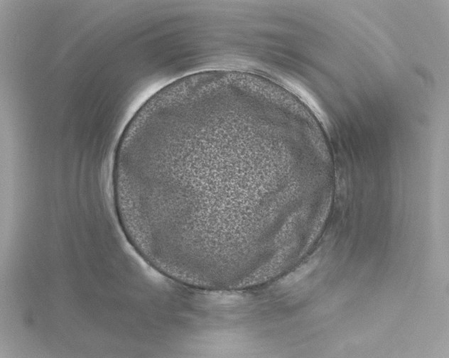 X0000115371103200911171409