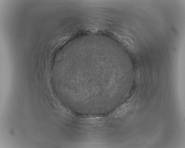 X0000115371105200911171408