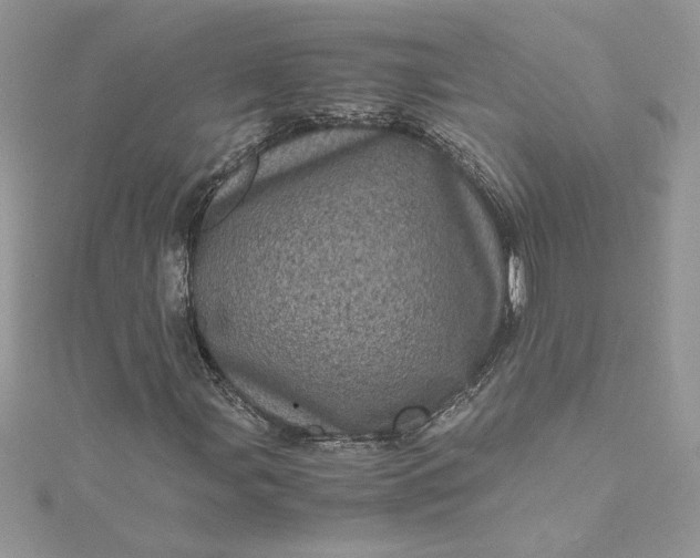X0000115371107200911171408