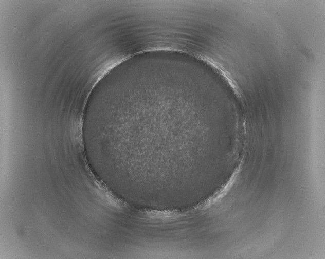 X0000115371121200911171408