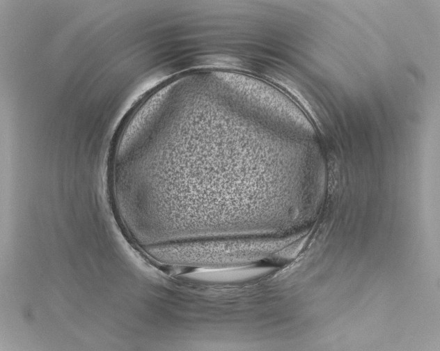 X0000115371139200911171409