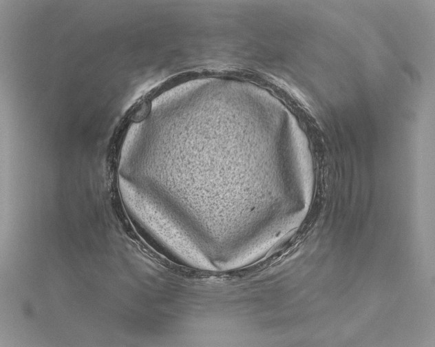 X0000115371160200911171408