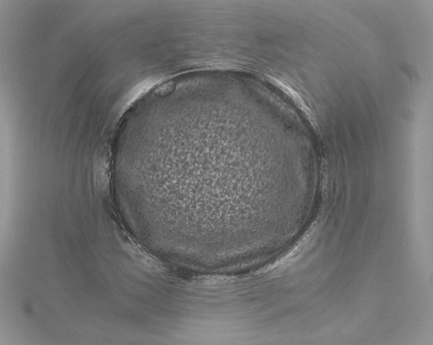 X0000115371163200911171408