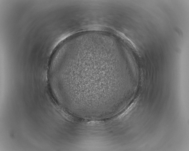 X0000115371166200911171408