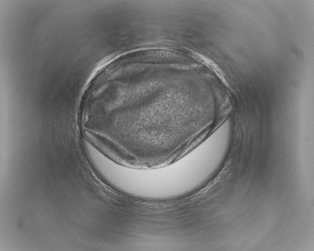 X0000115371168200911171408