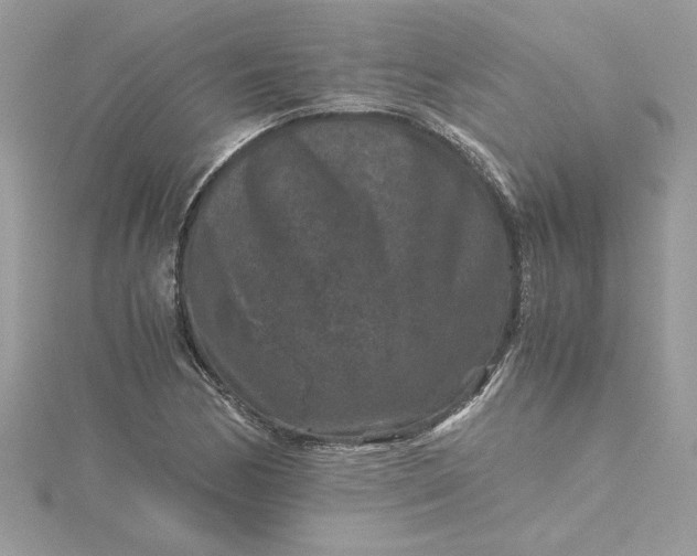 X0000115371170200911171408