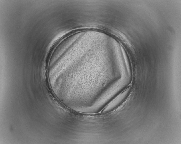X0000115371172200911171408