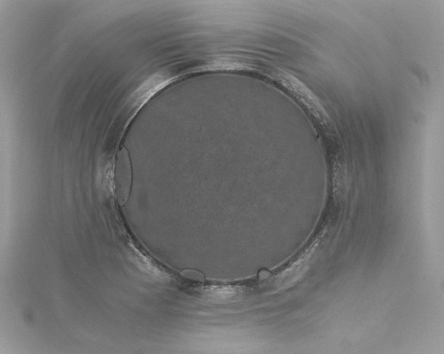 X0000115371177200911171408