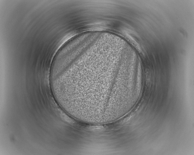 X0000115371186200911171408