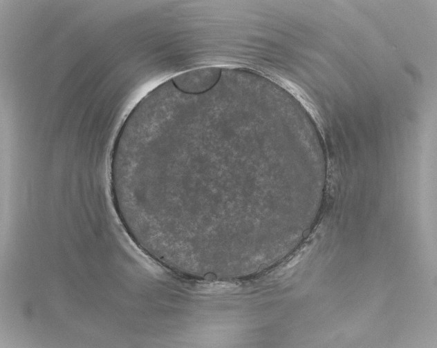 X0000115371187200911171408