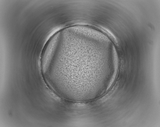X0000115371190200911171408