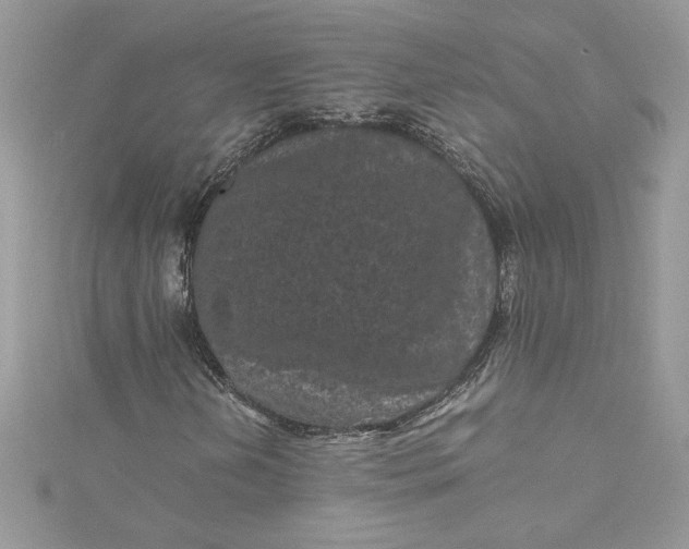 X0000115371202200911171407