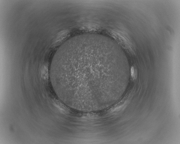 X0000115371203200911171407