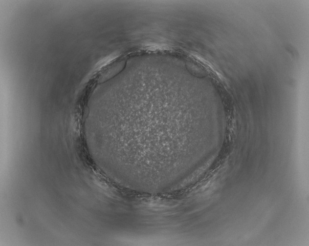 X0000115371207200911171407