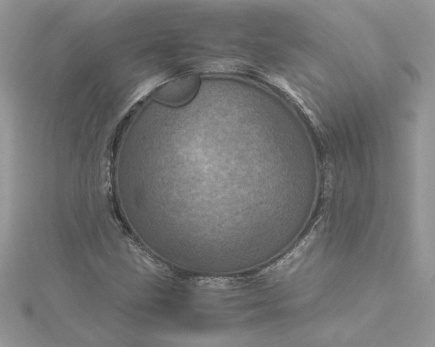 X0000115371211200911171407