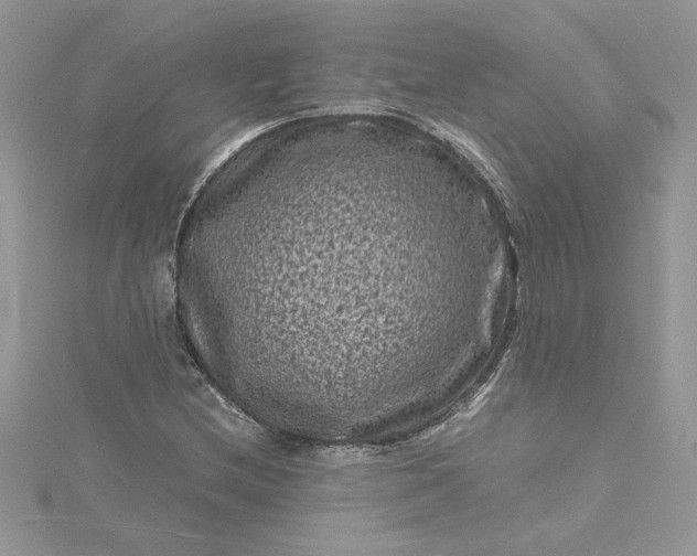 X0000115371212200911171407