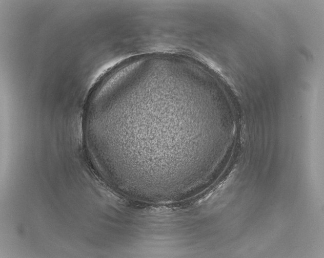 X0000115371214200911171407