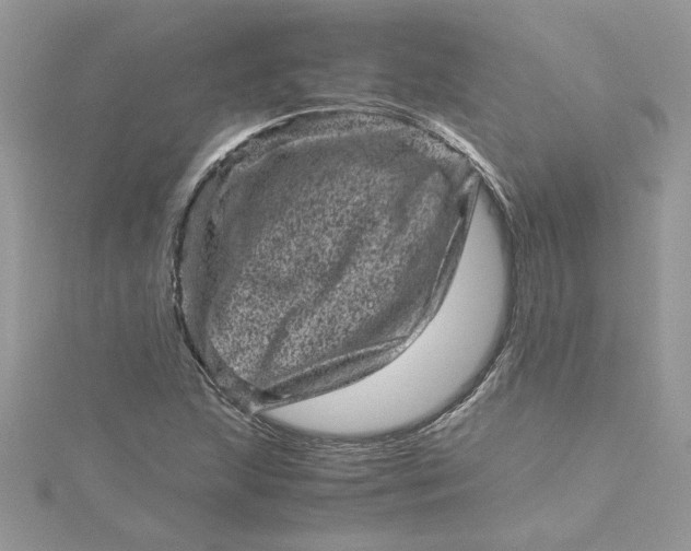 X0000115371215200911171407