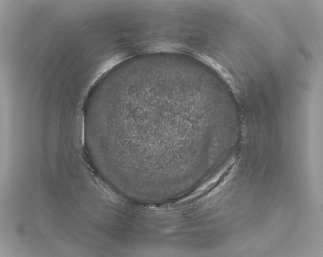 X0000115371219200911171407