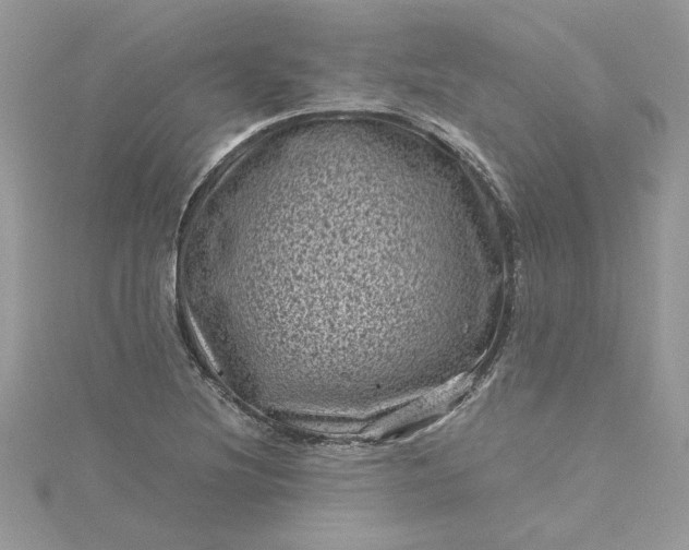 X0000115371220200911171407
