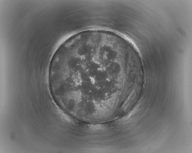 X0000115371231200911171407