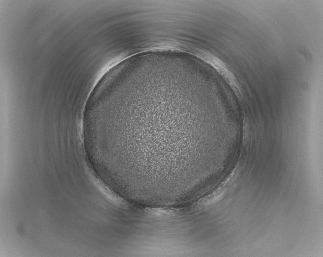 X0000115371234200911171407