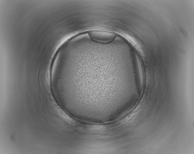 X0000115371238200911171407